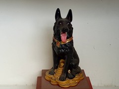 WhatsApp Image 2019-12-30 at 16.00.19